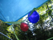 balloons.jpg