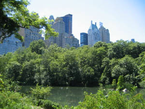 centralpark.jpg