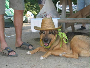 cowboybuddy.jpg